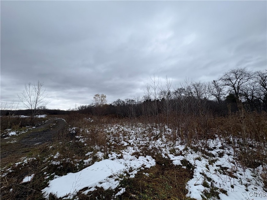 34 State St, Auburn, NY 13021 - photo 1