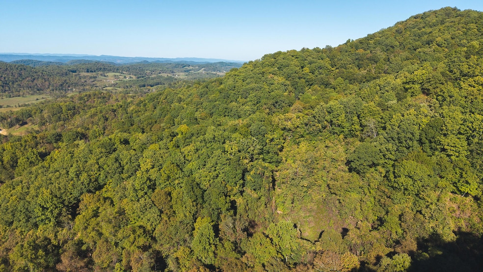 69.26 Acre Wolfe Rd, Sneedville, TN 37869 - photo 1