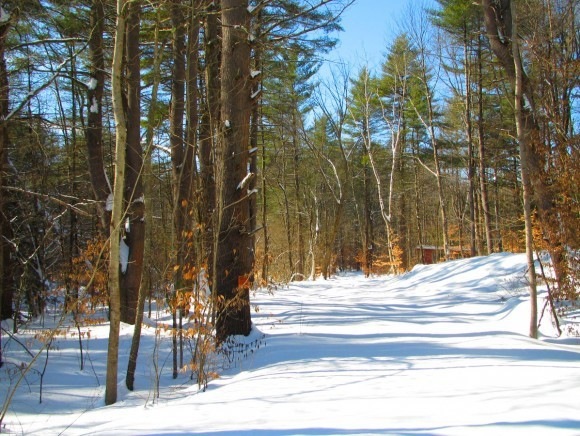 - Stage Rd, Chesterfield, NH 03443 - photo 1