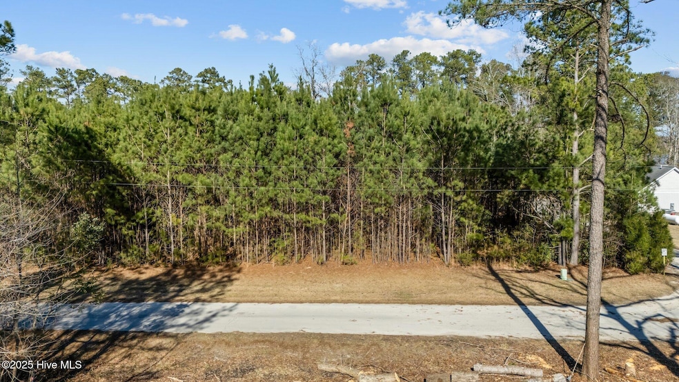 5-web-or-mls-DJI_20250218143430_0736_D