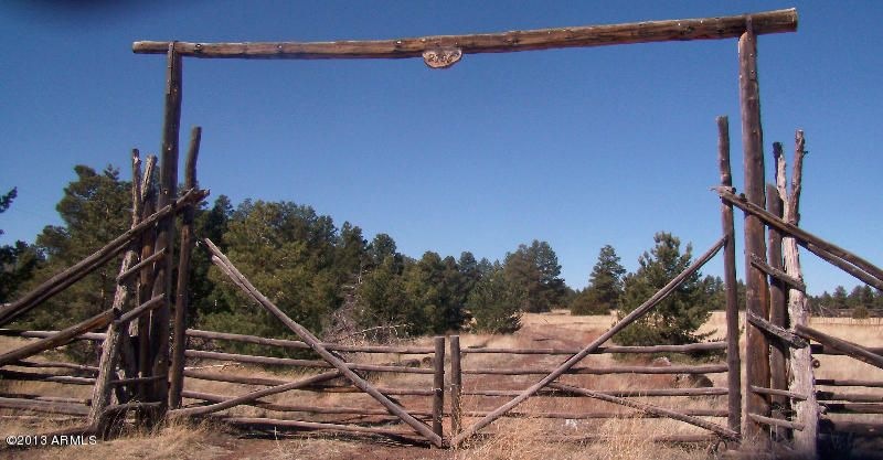 arizona_mountain_pines_property_acreage_