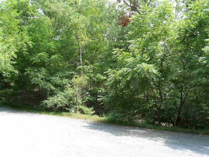 0 Secession Ln unit 606369, New Market, VA 22844 - photo 1