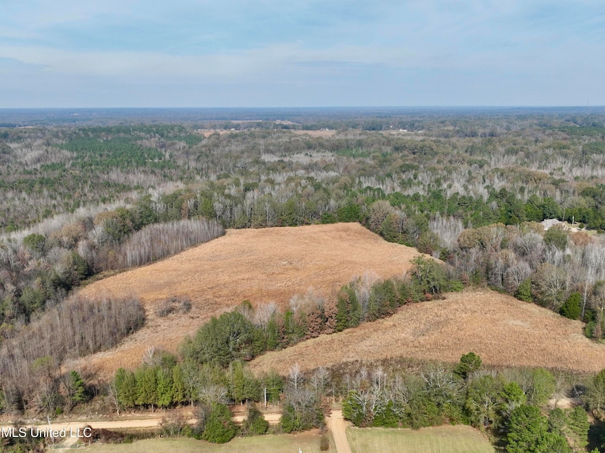 0000 Pisgah Bottom Rd, Canton, MS 39046 - photo 1
