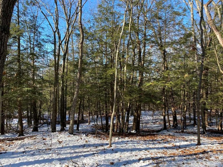 0 Milewood Rd unit 397571, Washington, NY 12545 - photo 1