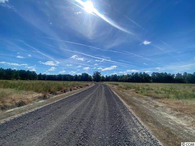 TBD William Nobles Rd unit Lot 3, Aynor, SC 29511 - photo 1