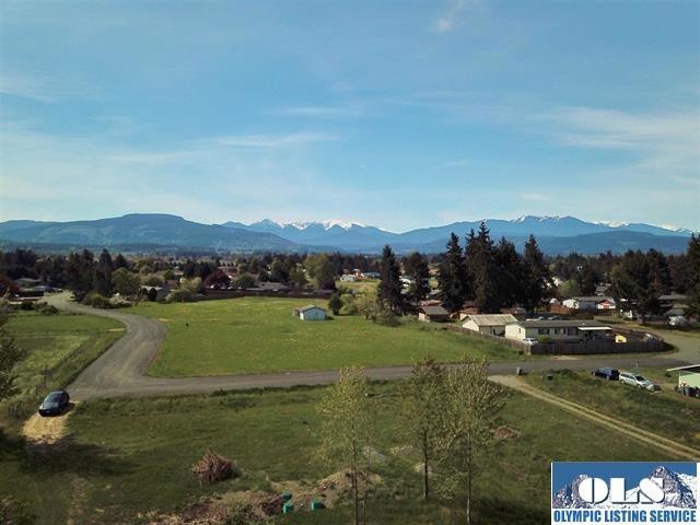 Approx. 1 level Acre with Olympic Mt Views!