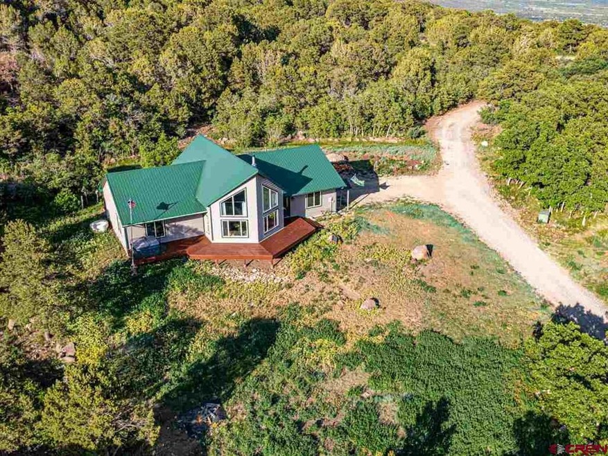 20101 Squirrel Rock Rd, Cedaredge, CO 81413 - photo 1