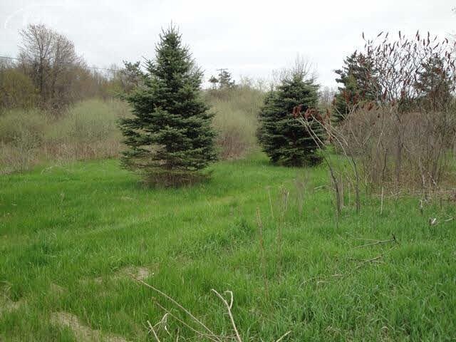 420 E 3rd St, Davison, MI 48423 - photo 1