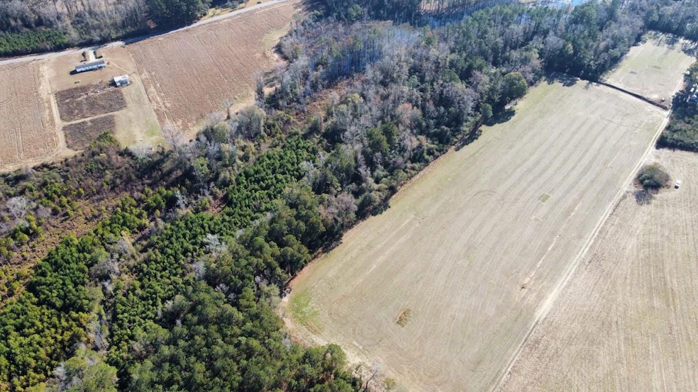 20.85 Acres Highway 917, Nichols, SC 29581 - photo 1