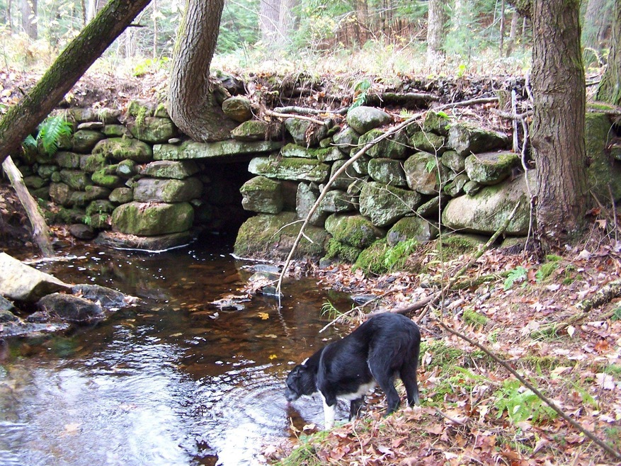 184 Gustin Pond Rd, Marlow, NH 03456 - photo 1