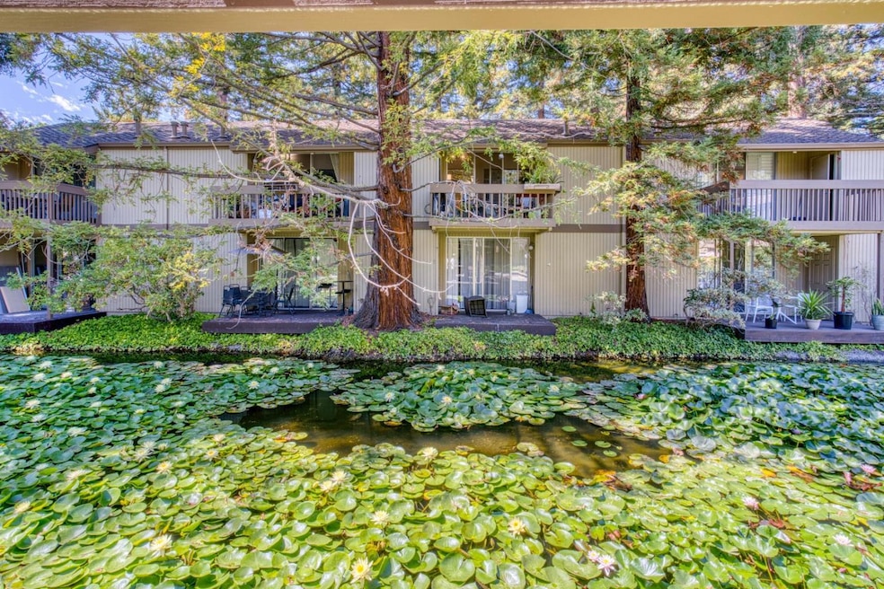 Pending $595,000 • Co-Listing Agent