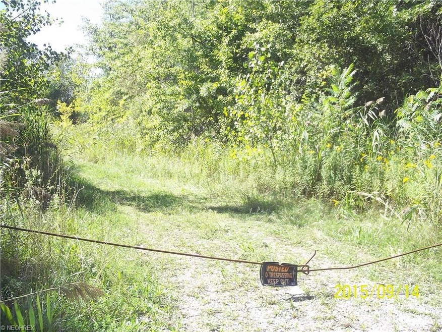 2216 N County Line Rd, Geneva, OH 44041 - photo 1