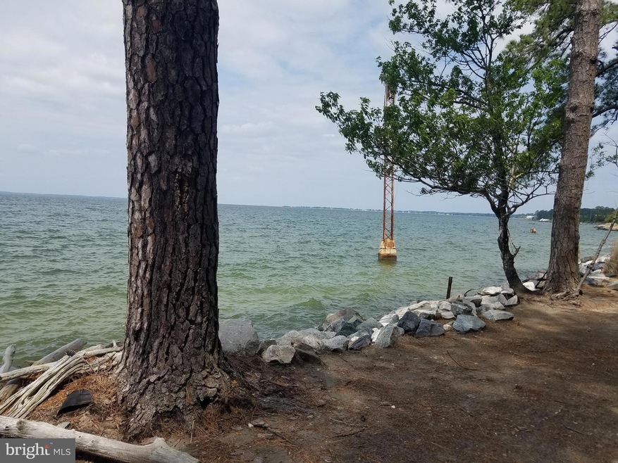 16291 Thomas Rd, Piney Point, MD 20674 - photo 1