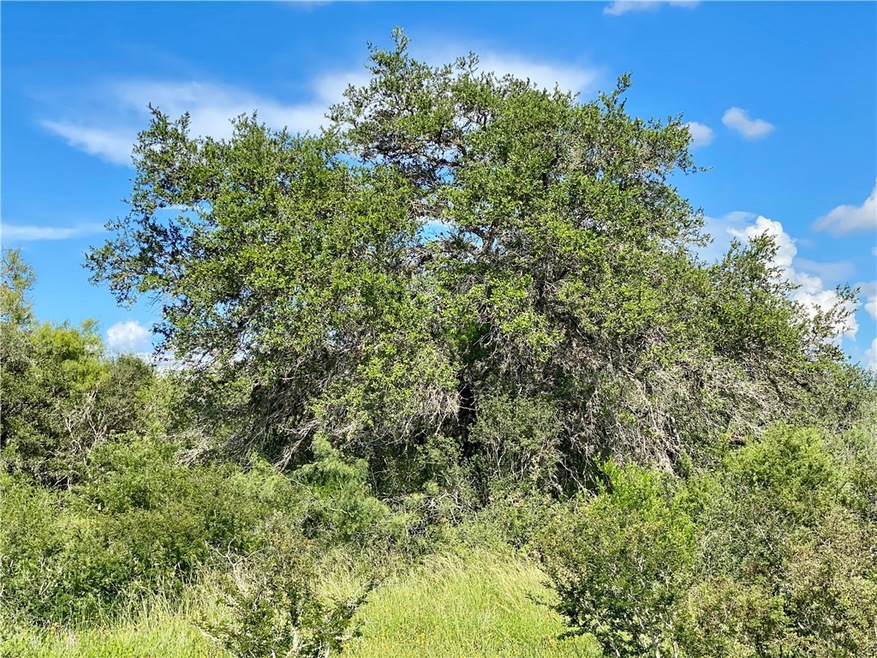 0 Fm 673 unit 407286, Beeville, TX 78102 - photo 1