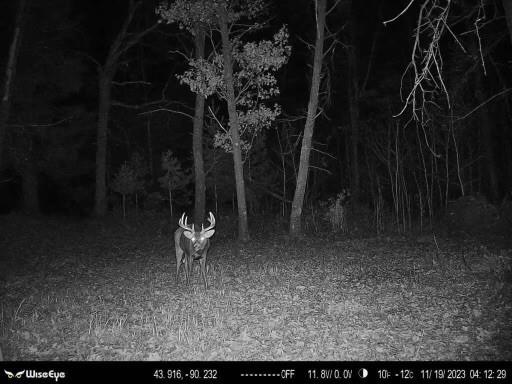 W9395 County Road C, Orange, WI 54618 - photo 1