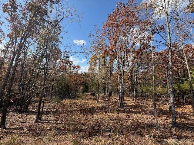 10 Summer Tyme Dr, Greenbrier, AR 72058 - photo 1