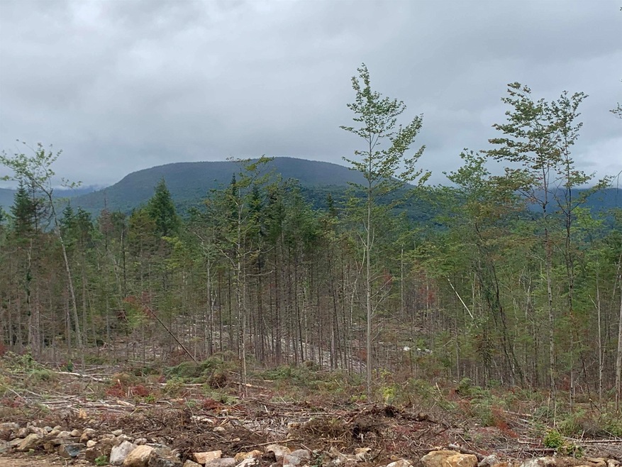 4 Pike Pond Rd, Stark, NH 03582 - photo 1