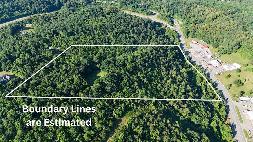 0 Mount Calvary Church Rd, Stuart, VA 24171 - photo 1