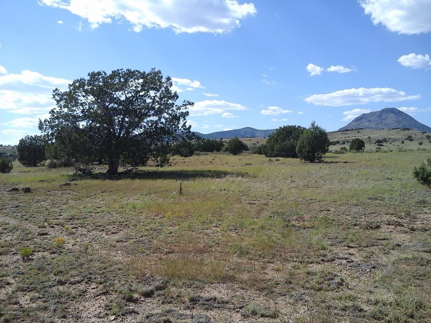 Lot 47 Juniperwood Ranch Unit 11, Ash Fork, AZ 86320 - photo 1