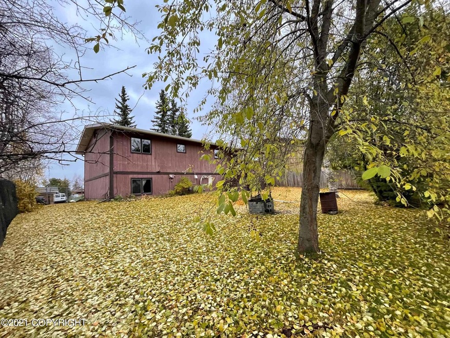 Fall back yard 44
