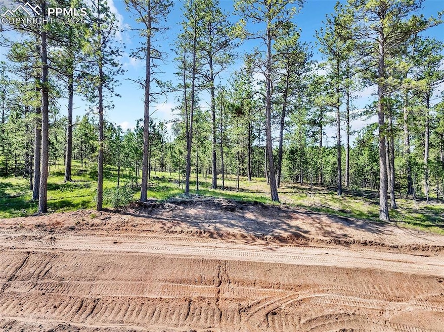 14371 Allen Ranch Rd, Black Forest, CO 80908 - photo 1