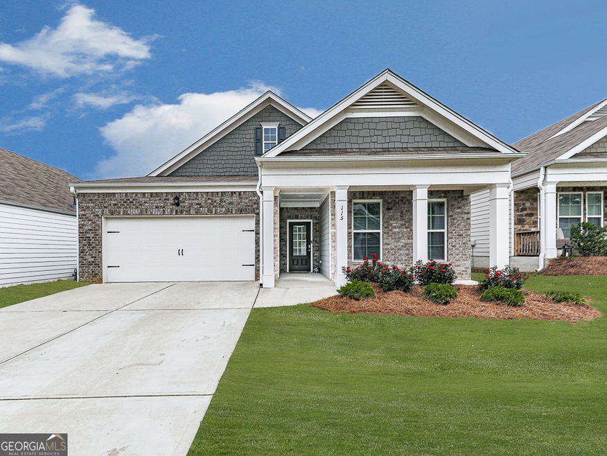 115 Cranberry Blossom Way, Dallas, GA 30132 - photo 1