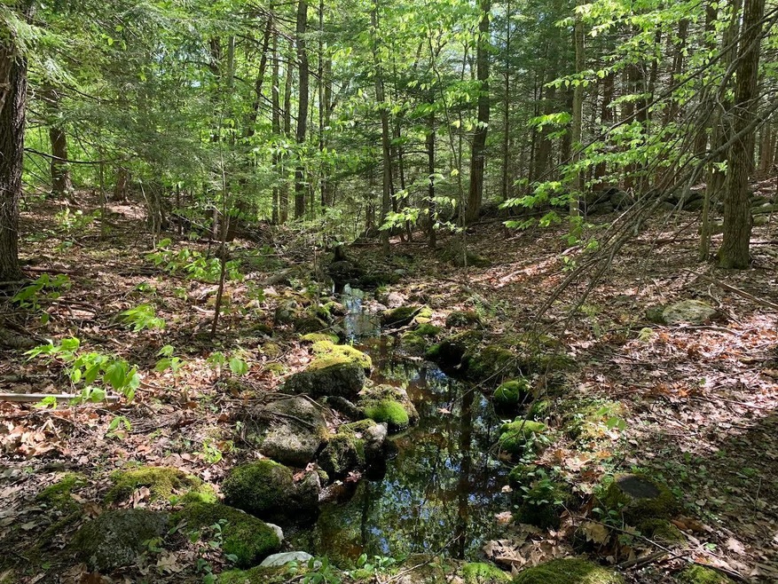 63 Turner Rd, Jaffrey, NH 03452 - photo 1