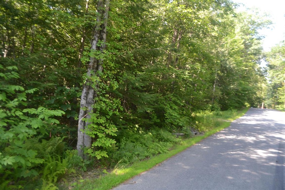 35 Driftwood Dr, Moultonborough, NH 03254 - photo 1