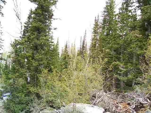 Picture of Neighboring Lot