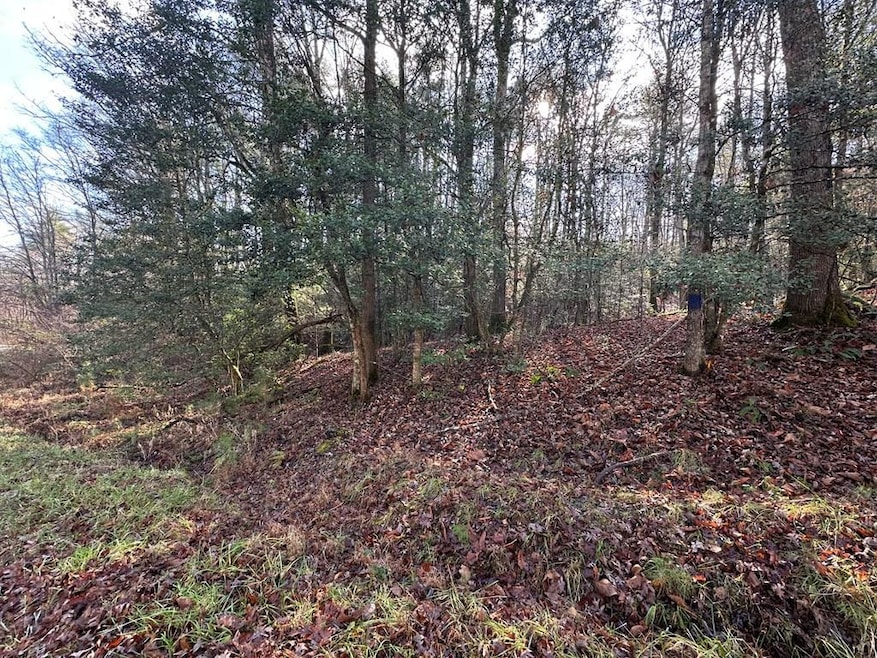 TBD Dickey Rd, Murphy, NC 28906 - photo 1