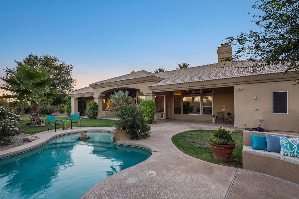 Resort-Like Back Yard