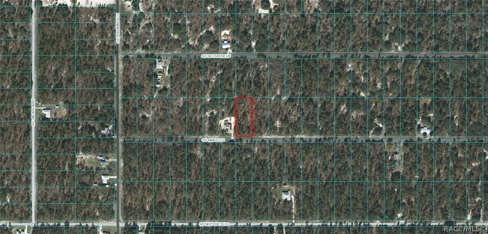 Lot 32 SW Mango Ln, Dunnellon, FL 34431 - photo 1