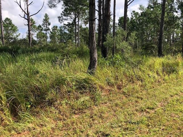 8010 Carillo Dr, Sebring, FL 33872 - photo 1