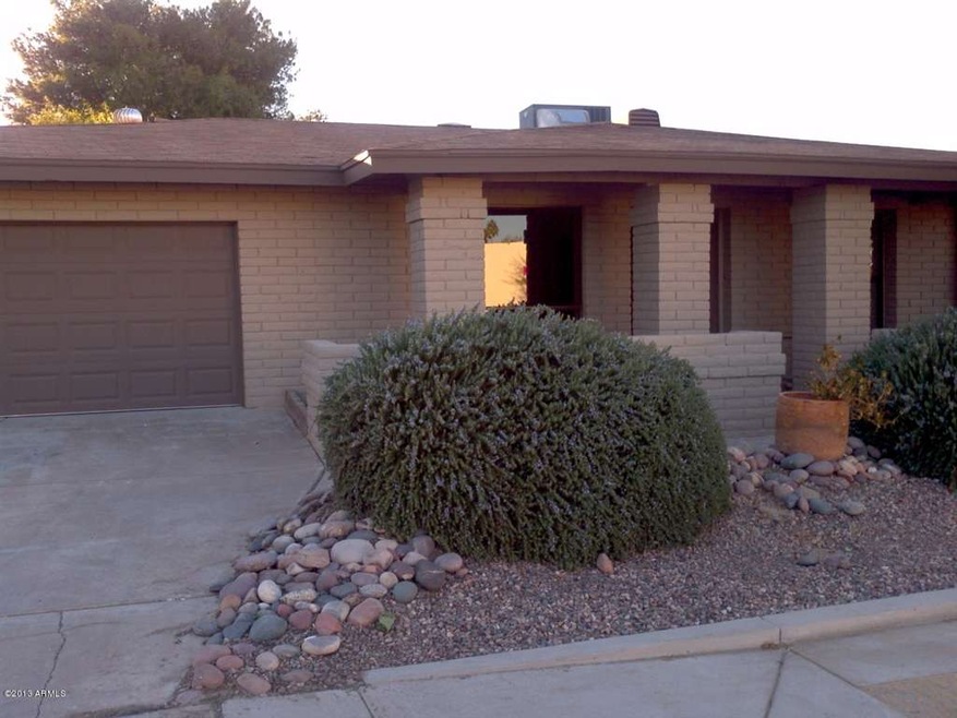 Yucca front