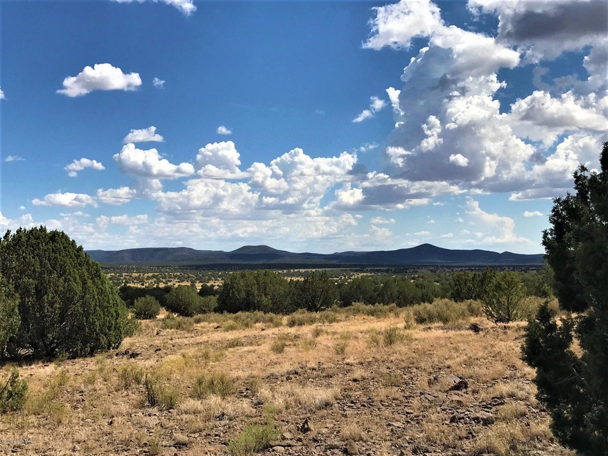 70 Off of Rawhide Ranch Rd, Ash Fork, AZ 86320 - photo 1