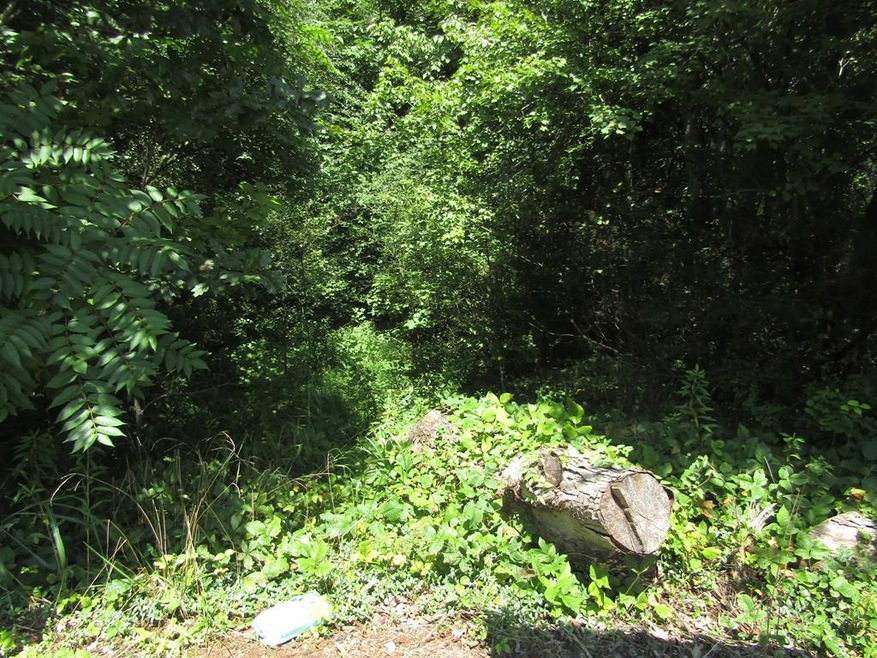 2.20 ac Buck Mountain Rd, Cookeville, TN 38506 - photo 1