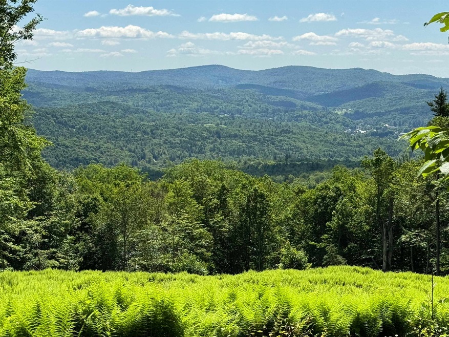 0 Spruce Grove Rd unit 5035135, Wilmington, VT 05363 - photo 1