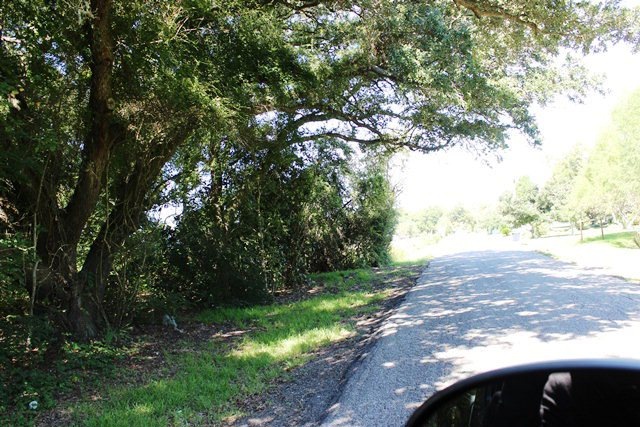 5+acres County Road 185, Alvin, TX 77511 - photo 1