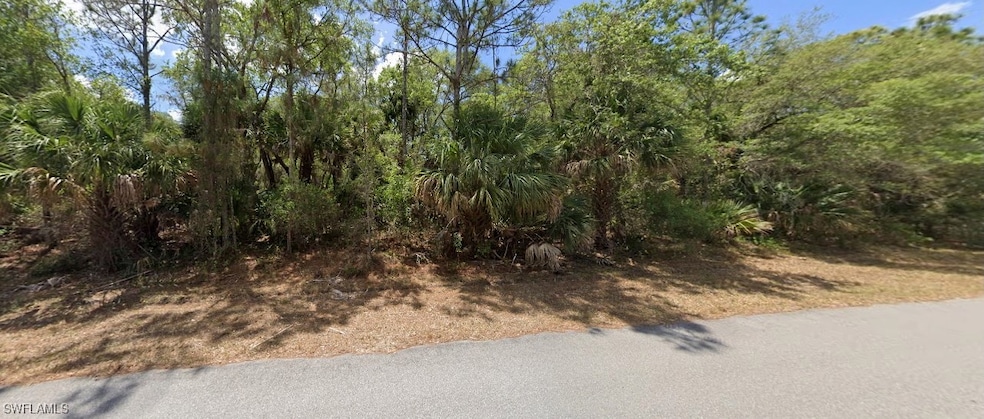 View of local wilderness