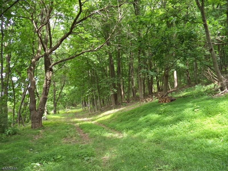 60 Staats Rd, Bloomsbury, NJ 08804 - photo 1