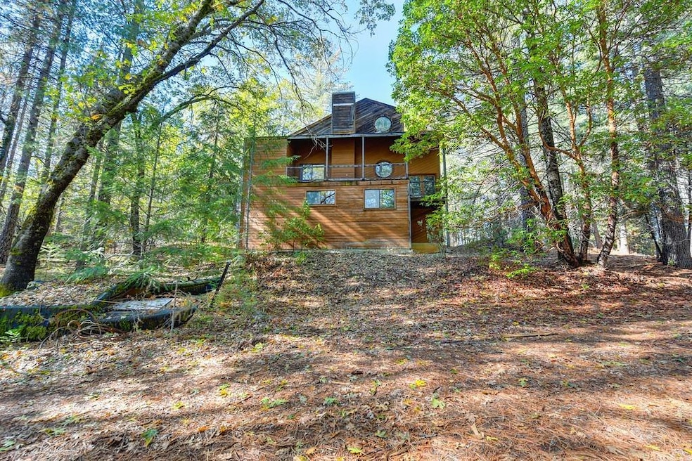 7287 Critter Ln, Georgetown, CA 95634 - photo 1