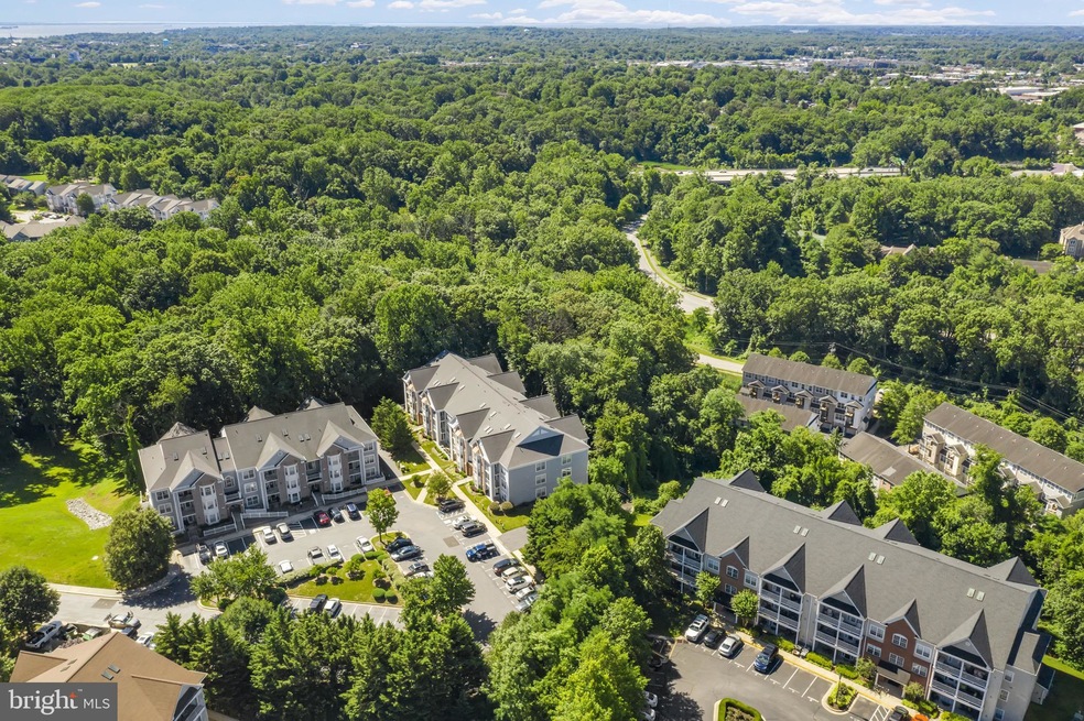 657 Burtons Cove Way unit 2, Annapolis, MD 21401 - photo 1