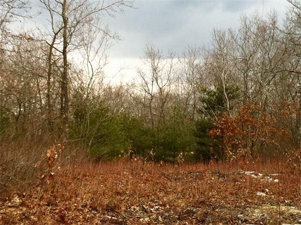 2 High St, Douglas, MA 01516 - photo 1