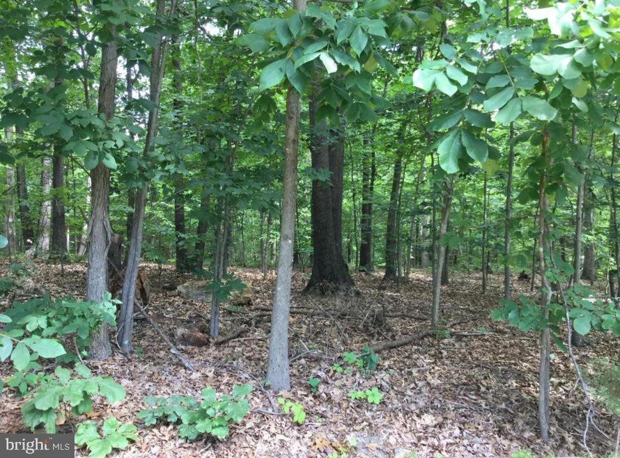 0 Blue Bell Ln unit VASH121500, Strasburg, VA 22657 - photo 1