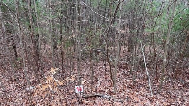 Lot 14 Woods Haven Ln, Stuart, VA 24171 - photo 1