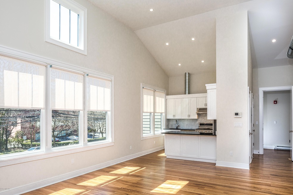 Living room and kitchen
