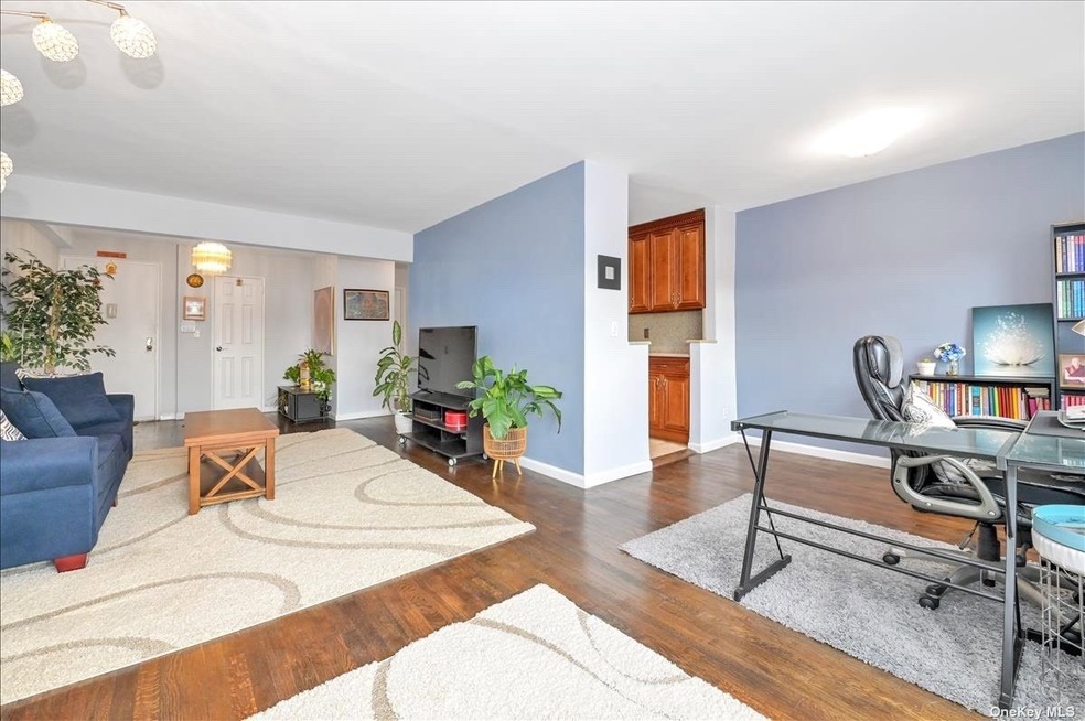 Birchwood Court unit 4D, Mineola, NY 11501 - photo 1