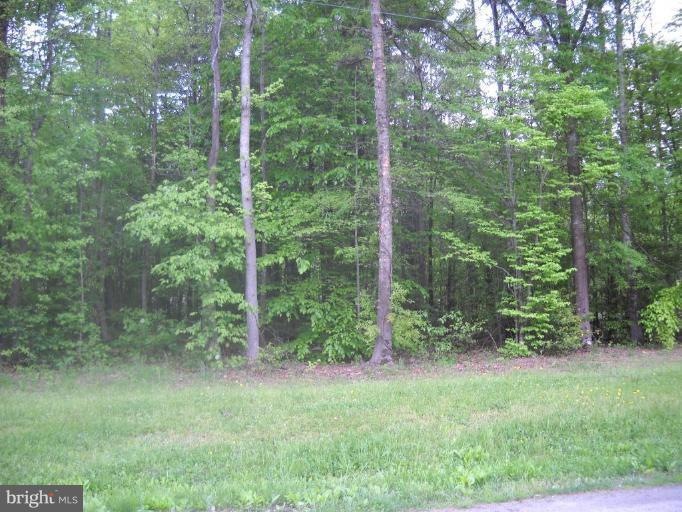 485 Longleaf Rd, Ruther Glen, VA 22546 - photo 1