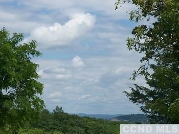 0 Route 385 unit 94946, Athens, NY 12015 - photo 1