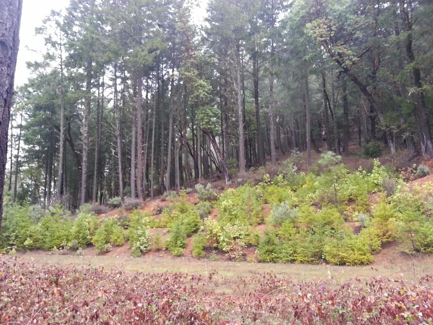 338 Thornridge, Grants Pass, OR 97526 - photo 1